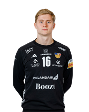 Hallgrímsson Viktor