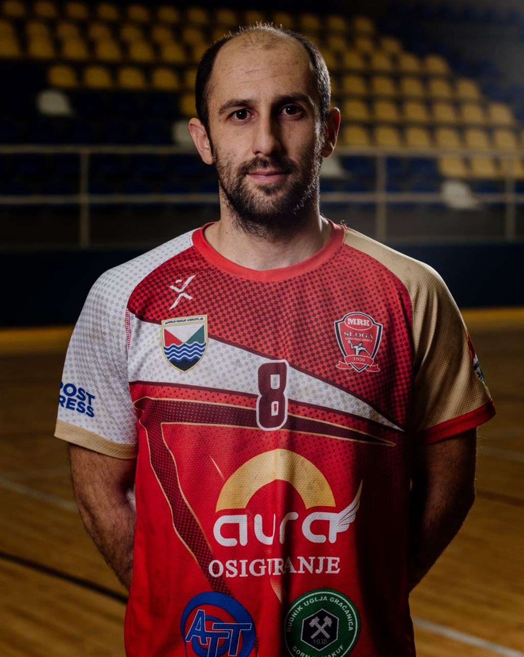 AMER DEDIC Career & Statistics EHF