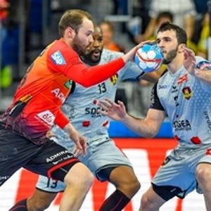 RNLLowen-Nantes_faeth_200