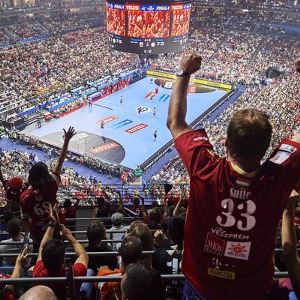 Handball velux sale