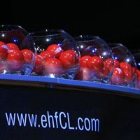 EURO and Champions Leagu Draw in Vienna